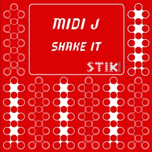 Shake It - Single