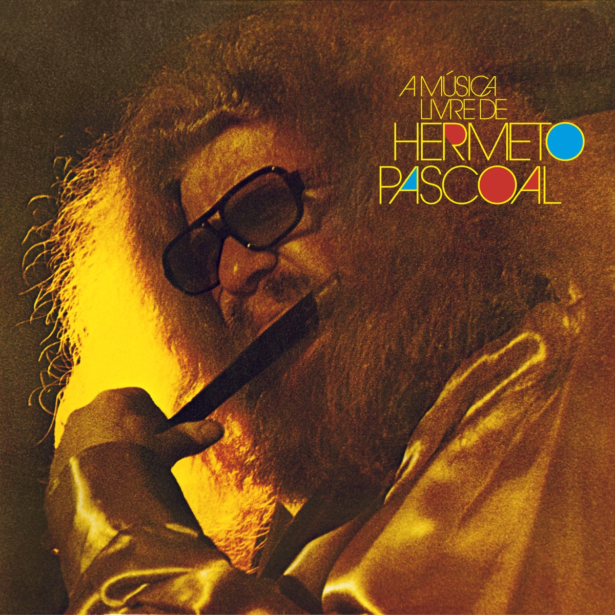 A Música Livre De Hermeto Pascoal - エルメート・パスコアールのアルバム - Apple Music