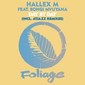 Day by Day (Atjazz Remix) artwork