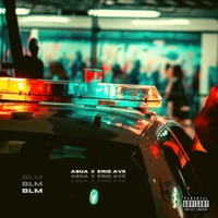 BLM (feat. Erie Ave) - Single - Asua