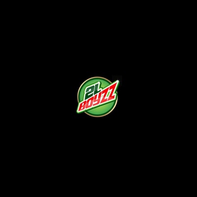 Dvojlitr Boyzz 3Style (feat. Patrik Love Icy L & CA$HANOVA BULHAR) - Single