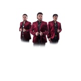 Los Sobrinos