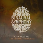 Tibetan Bowls and Binaural Healing Waves - Single