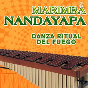 Danza Ritual del Fuego - Single