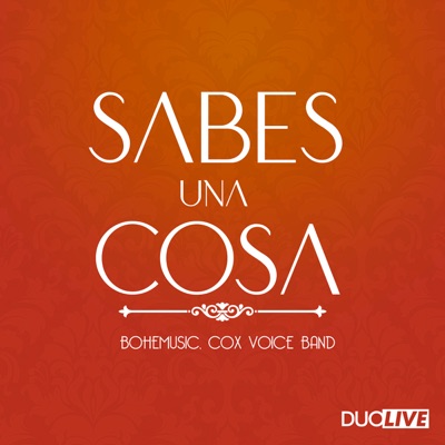 Sabes Una Cosa - Single
