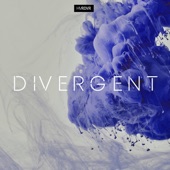 Divergent artwork