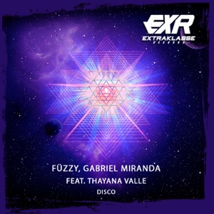Disco (feat. Thayana Valle) - Single