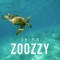 Swimm - Zoozzy lyrics