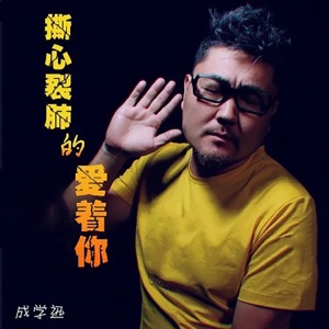 撕心裂肺的爱着你 - Single