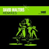 Vansé (Radio Edit) [Voilaaa Remix] artwork