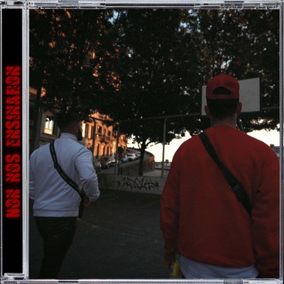 Non Nos Ensinaron (feat. Denks) - Single
