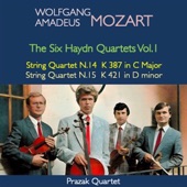 String Quartet No. 14 in G Major, K.387: II. Menuetto: Allegro - Trio (Frühlings Quartett) artwork
