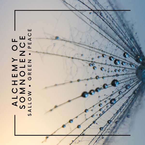 Alchemy of Somnolence: Deep Sleep Meditation