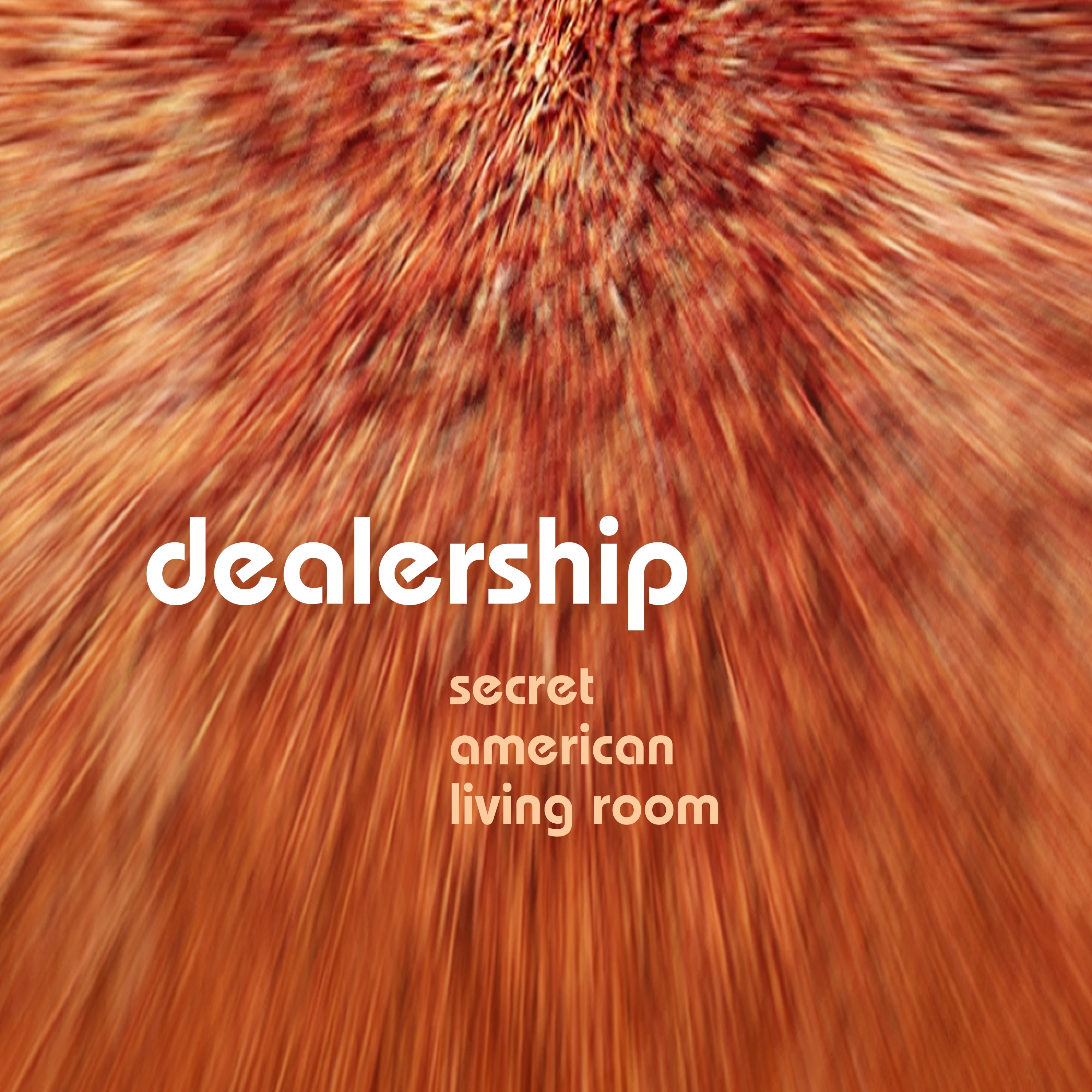 Secret American Livingroom