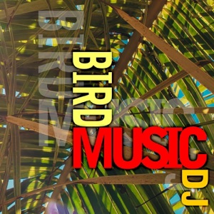 Bird music dj (feat. Dj Freccia & Filos)