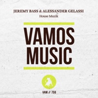 House Muzik - Single - Jeremy Bass & Alessander Gelassi