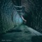 Insaniam - Ryan McTear lyrics