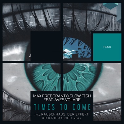 Times to Come (The Remixes) [feat. Aves Volare] - Single