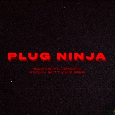 Plug Ninja - Single