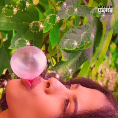 Bubblegum - Single