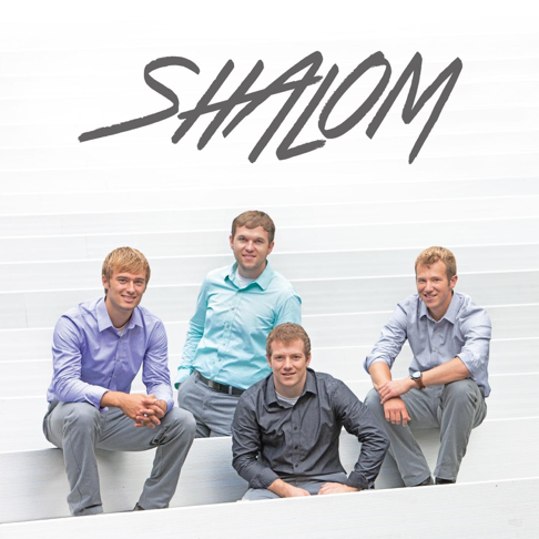 【SHALOM】 SHALOM MOSS 19 SANDLE ♥数量限定♥ SHALOM - Apple Music