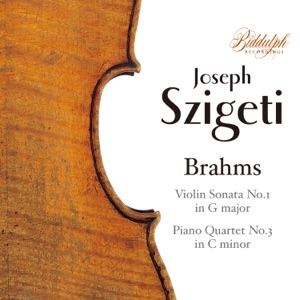 Brahms: Chamber Works (Live)