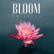 Bloom - Ikson lyrics