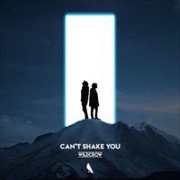 Can't Shake You - Single - Wildcrow