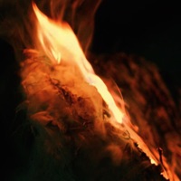 Night - Single - DUSTIN NGO 春風, tlinh & wAvy