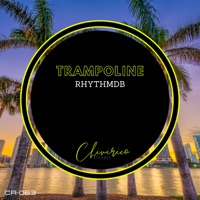Trampoline - Single - RhythmDB