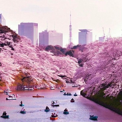 Tokyo - Single