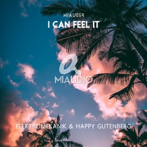 I Can Feel It - Single