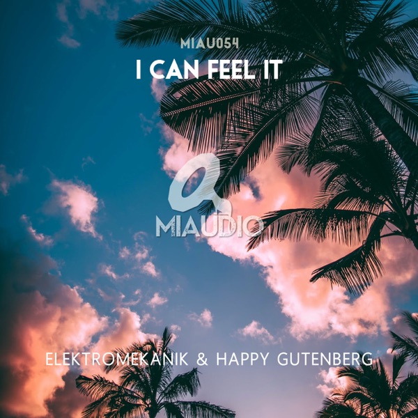 I Can Feel It - Single