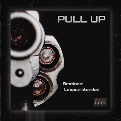 Pull Up (feat. Lex Pun Intended) - Single