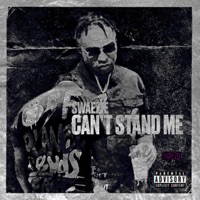 Cant Stand Me - Single - Swaezie