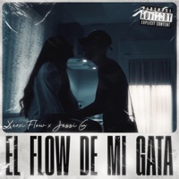 El flow de mi gata - Single - Xerxi Flow