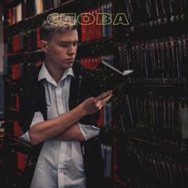 Слова (feat. Slana) Миша Es