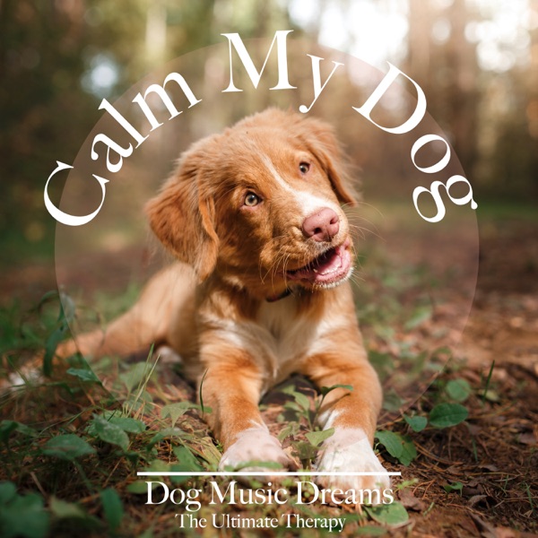 Calm My Dog: Dog Music Dreams The Ultimate Therapy