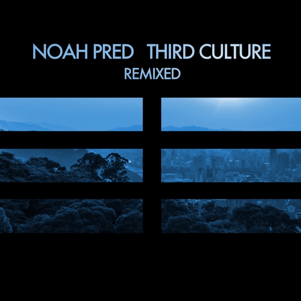 Third Culture Remixed
