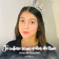 Te Iubesc Si Mi-E Dor De Tine - Single - Amira din Barbulesti