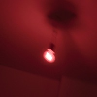 Shawty - Single - Koko040