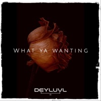 What ya Wanting - Single - DeyluvL