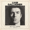 For What It’s Worth - Liam Gallagher