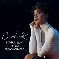 KARANLIK ÇÖKÜNCE SOKAĞINIZA — CEVHER