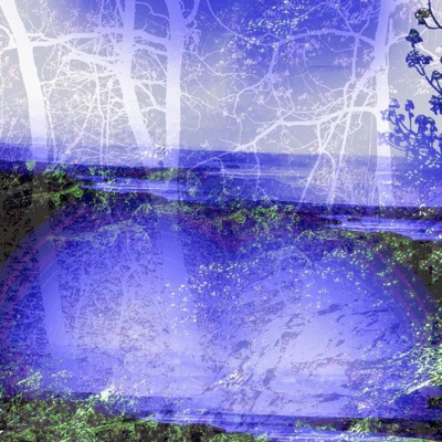 Walkinthefields - Single