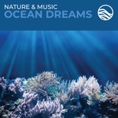 Nature & Music: Ocean Dreams artwork