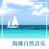 海鸥鸟 - 自然白噪音