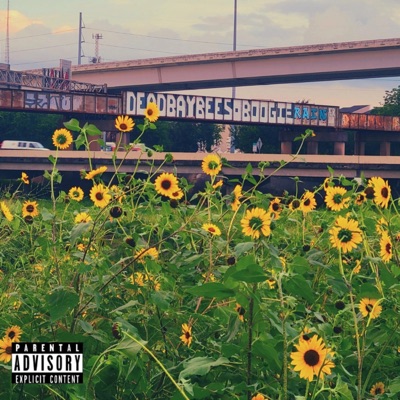 DaYs Before the $ummer - Single