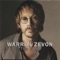 Numb as a Statue - Warren Zevon lyrics