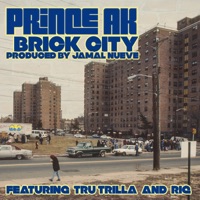 Brick City (feat. Tru Trilla & RIQ) - Single - Prince AK